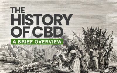 The History of CBD